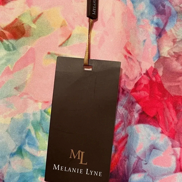 Melanie Lyne Floral Sleeveless Fit & Flare Lined Dress - Picture 10 of 12